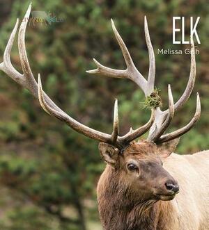 Elk by Melissa Gish