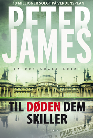 Til døden dem skiller by Peter James