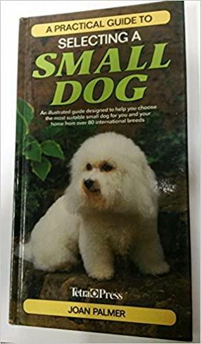 A Practical Guide to Selecting a Small Dog by Joan Palmer