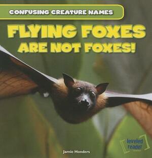 Flying Foxes Are Not Foxes! by Jamie Honders