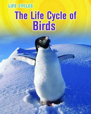 The Life Cycle of Birds by Susan H. Gray