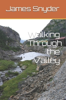 Walking Through the Valley by James L. Snyder