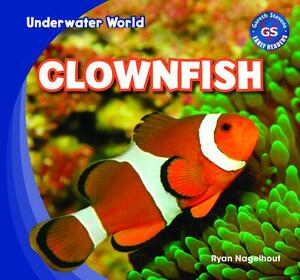 Clownfish by Ryan Nagelhout
