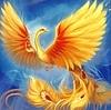 phoenixspring03's profile picture