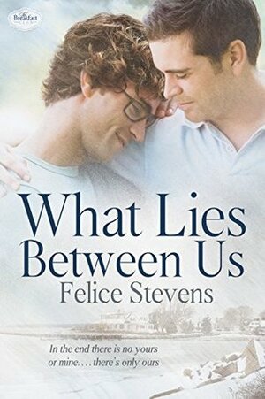 What Lies Between Us by Felice Stevens