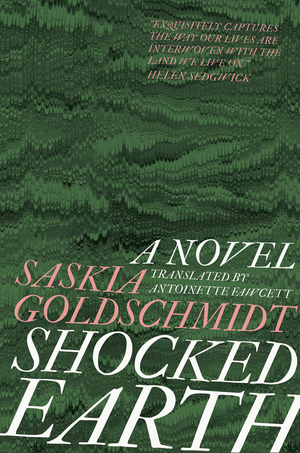 Shocked Earth by Saskia Goldschmidt
