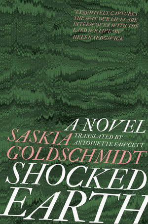 Shocked Earth by Saskia Goldschmidt
