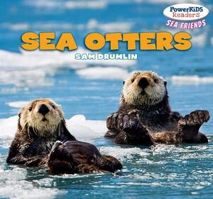 Sea Otters by Sam Drumlin