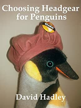Choosing Headgear for Penguins by David Hadley