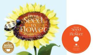 From Seed to Flower by Steven Anderson