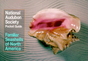 National Audubon Society Pocket Guide to Familiar Seashells by National Audubon Society