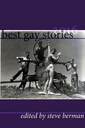 Best Gay Stories 2016 by Steve Berman