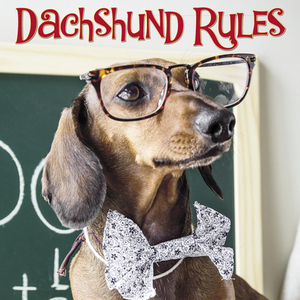 Dachshund Rules by Willow Creek Press