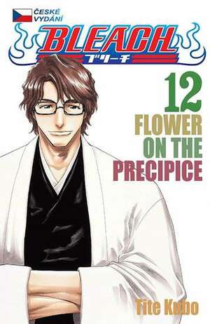 Bleach 12: Flower on a Precipice by Tite Kubo