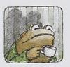 camphimbo's profile picture