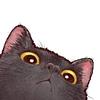 kittytimesfitty's profile picture