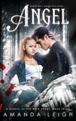 Angel: A Beauty of the Dark Novel, Book Three by Amanda Leigh