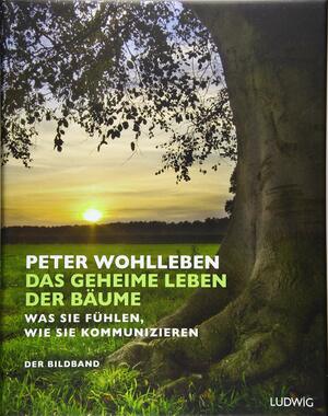 Das geheime Leben der Bäume: Was sie fühlen, wie sie kommunizieren. Der Bildband by Peter Wohlleben