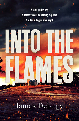 Into The Flames by James Delargy