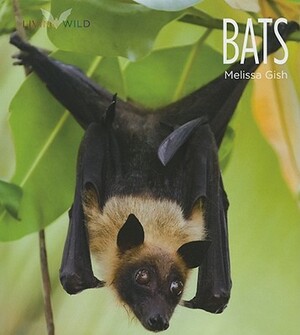 Bats by Melissa Gish