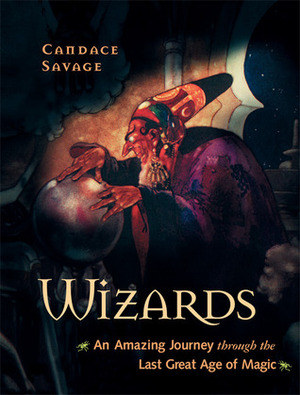 Wizards: An Amazing Journey Through the Last Great Age of Magic by Candace Savage