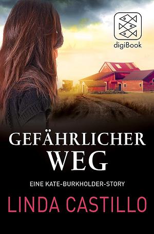 Gefährlicher Weg by Linda Castillo