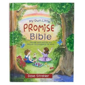 My Own Little Promise Bible Hardcover by Dave Strehler