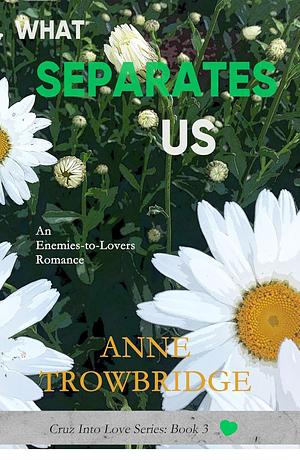 What Seperates Us by Anne Trowbridge