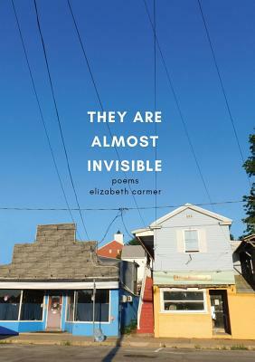 They Are Almost Invisible by Elizabeth Carmer