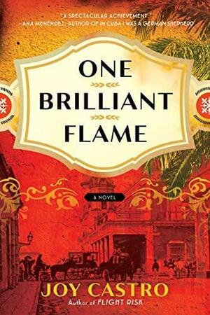 One Brilliant Flame: A Novel by Joy Castro