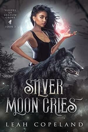 Silver Moon Cries by Leah Copeland