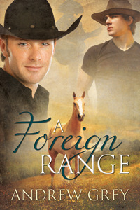 A Foreign Range by Andrew Grey