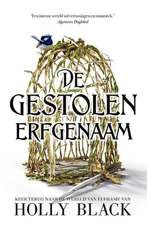 De gestolen erfgenaam by Holly Black