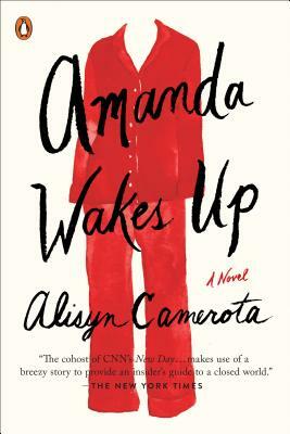 Amanda Wakes Up by Alisyn Camerota