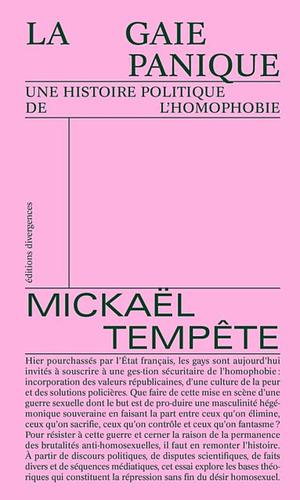 La gaie panique : Une histoire politique de l'homophobie by Mickaël Tempête