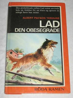 Lad den obesegrade by Albert Payson Terhune