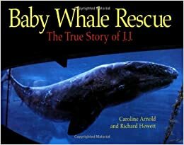 Baby Whale Rescue: The True Story of J.J. by Caroline Arnold
