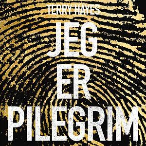 Jeg er Pilegrim by Terry Hayes