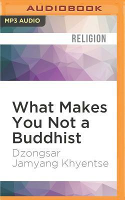 What Makes You Not a Buddhist by Dzongsar Jamyang Khyentse