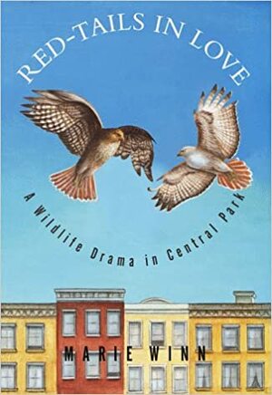 Red-Tails in Love: A Wildlife Drama in Central Park by Marie Winn