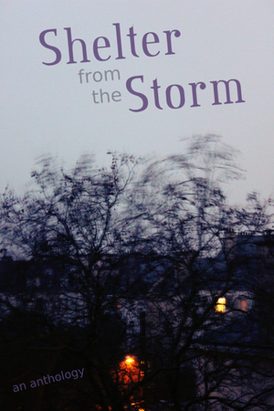 Shelter from the Storm: An Anthology by Jeremy Hayes, Cameron Trost, Claire Fitzpatrick, Black Beacon Books, Danielle Birch, Pam Schaare, Mark McAuliffe, Stuart Olver