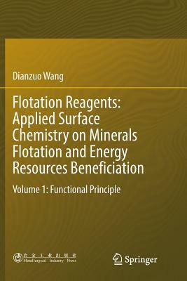 Flotation Reagents: Applied Surface Chemistry on Minerals Flotation and Energy Resources Beneficiation: Volume 1: Functional Principle by Dianzuo Wang