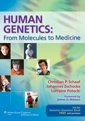 Human Genetics: From Molecules to Medicine by Lorraine Potocki, Johannes Zschocke, Christian P. Schaaf