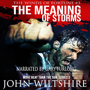 The Meaning of Storms by John Wiltshire