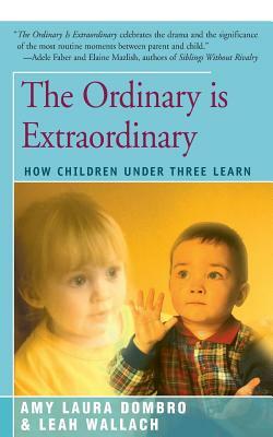 The Ordinary Is Extraordinary: How Children Under Three Learn by Amy Laura Dombro, Leah Wallach