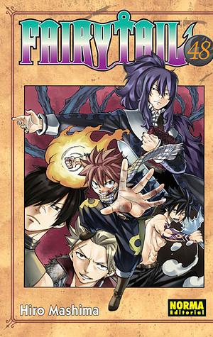 Fairy tail 48 by Hiro Mashima