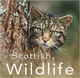 Scottish Wildlife by Colin Baxter