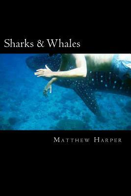 Sharks & Whales: A Fascinating Book Containing Shark & Whale Facts, Trivia, Images & Memory Recall Quiz: Suitable for Adults & Children by Matthew Harper