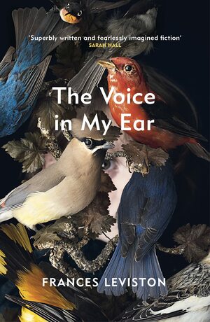 The Voice in My Ear by Frances Leviston