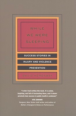 While We Were Sleeping: Success Stories in Injury and Violence Prevention by David Hemenway